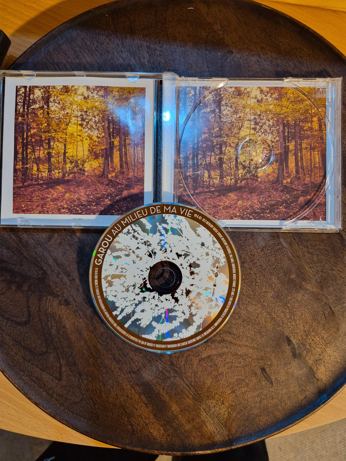 Album CD Garou - Au milieu de ma vie 4