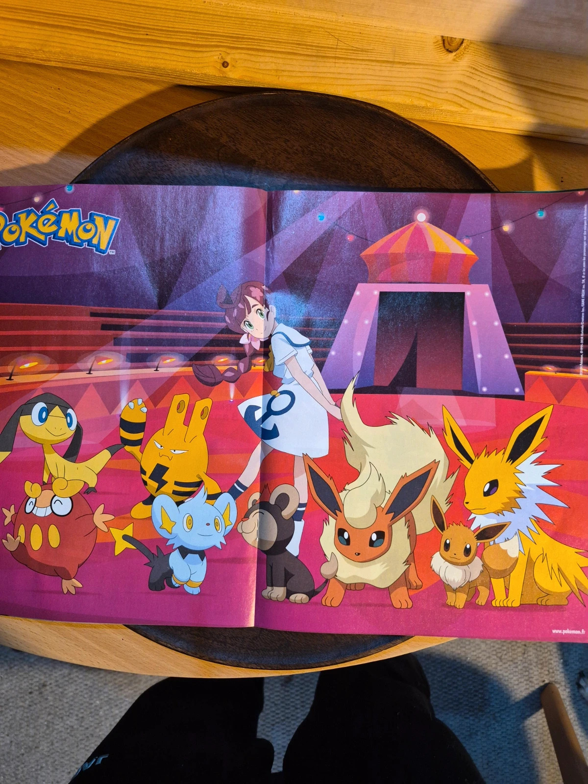 Magazine Dimension Pokémon N°23 (Mars/Avril 2024) + Poster 4
