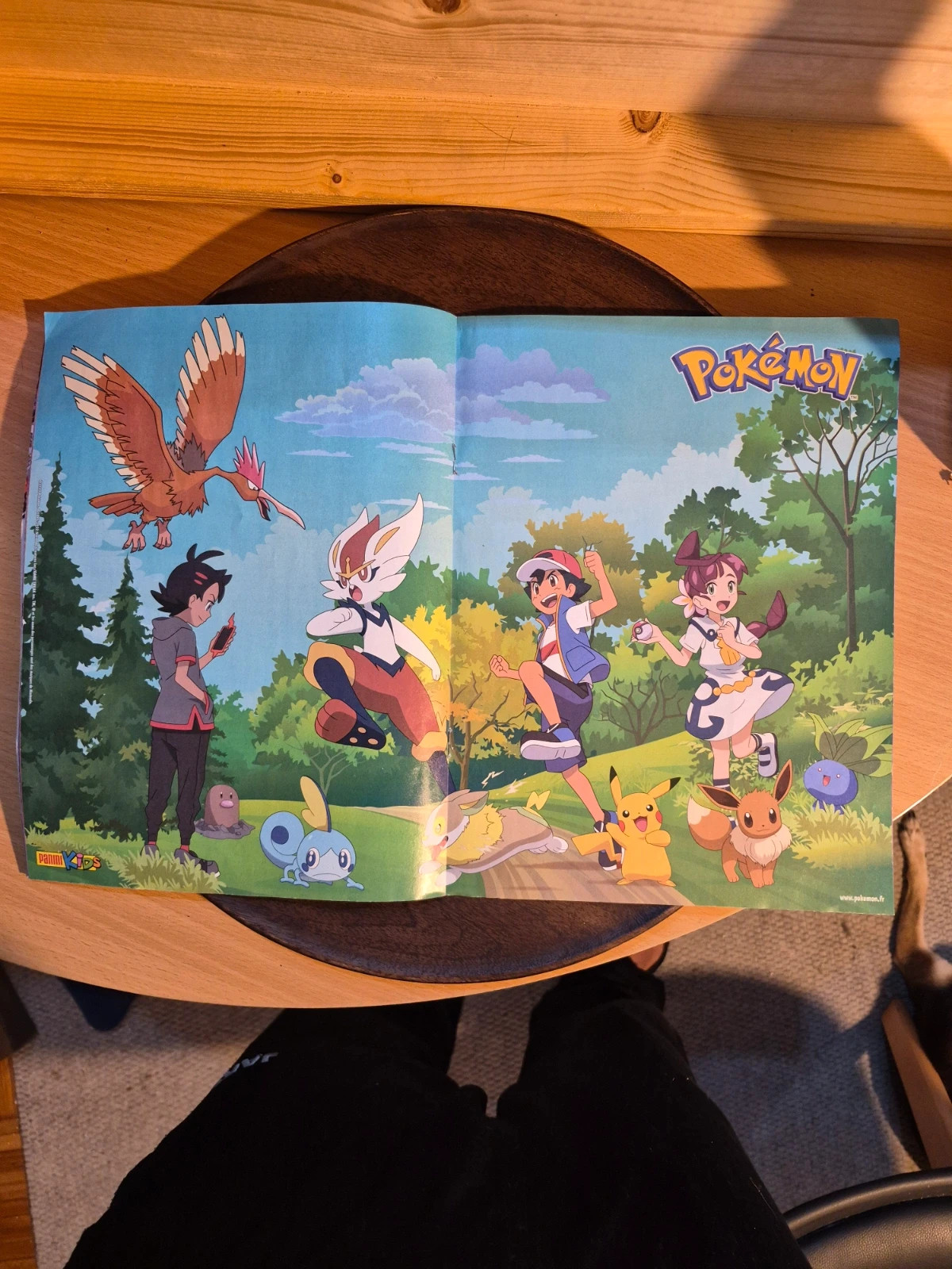 Magazine Officiel Dimension Pokémon N°12 - Mai / Juin 2022 + Poster 5