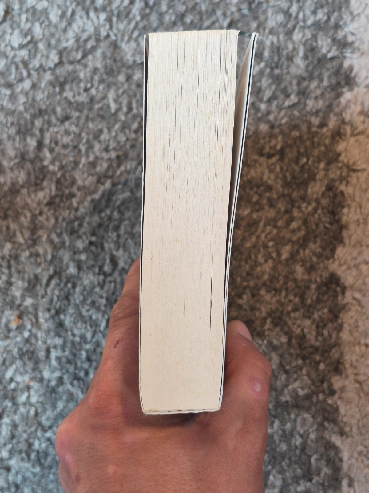 Livre "La rançon des pirates" - Emily Diamand (Michel Lafon) 4