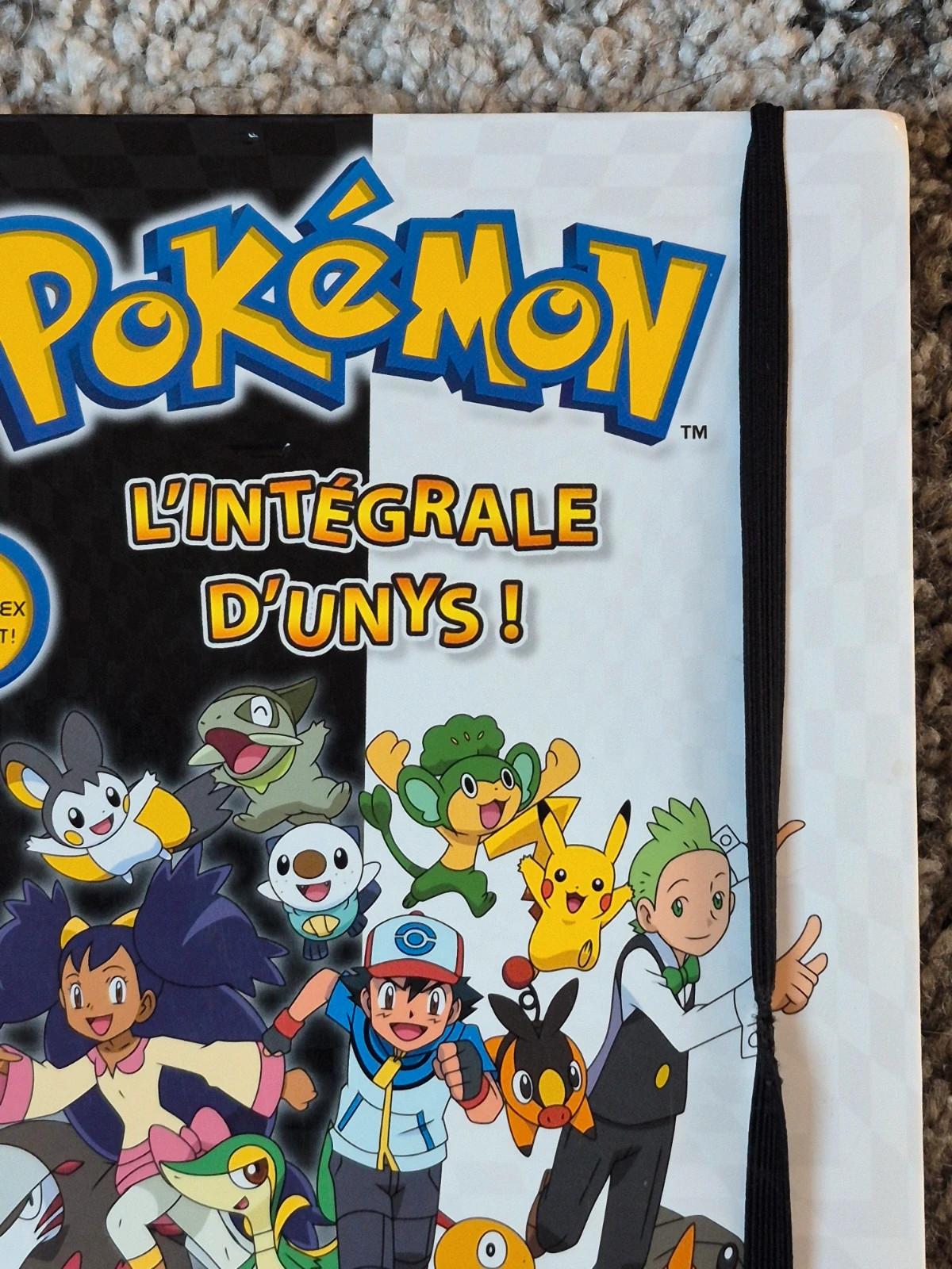Livre Pokémon L’intégrale d’Unys État Nickel (Sans écritures) 3