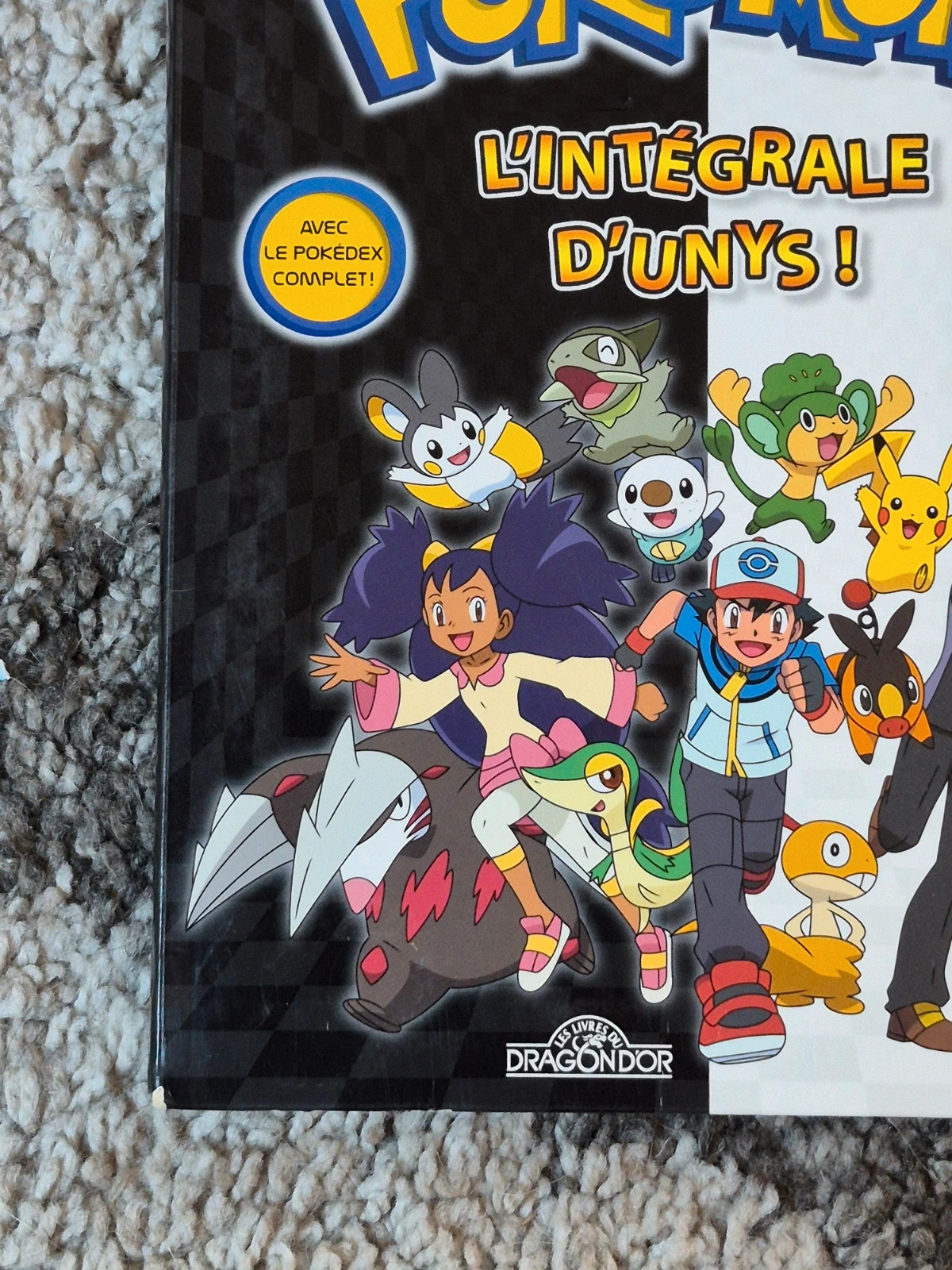 Livre Pokémon L’intégrale d’Unys État Nickel (Sans écritures) 5