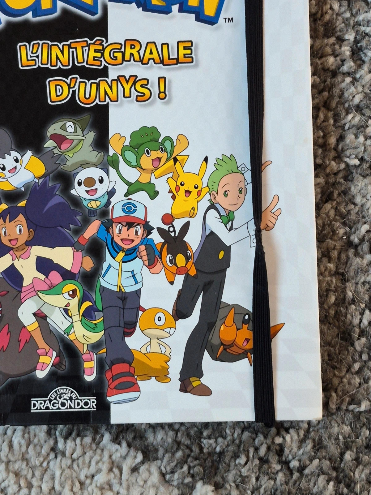 Livre Pokémon L’intégrale d’Unys État Nickel (Sans écritures) 4