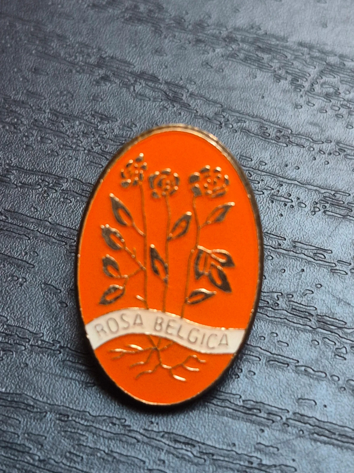 Insigne vintage "Rosa Belgica" - Les Amis de la Rose (Belgique) – Rose 2