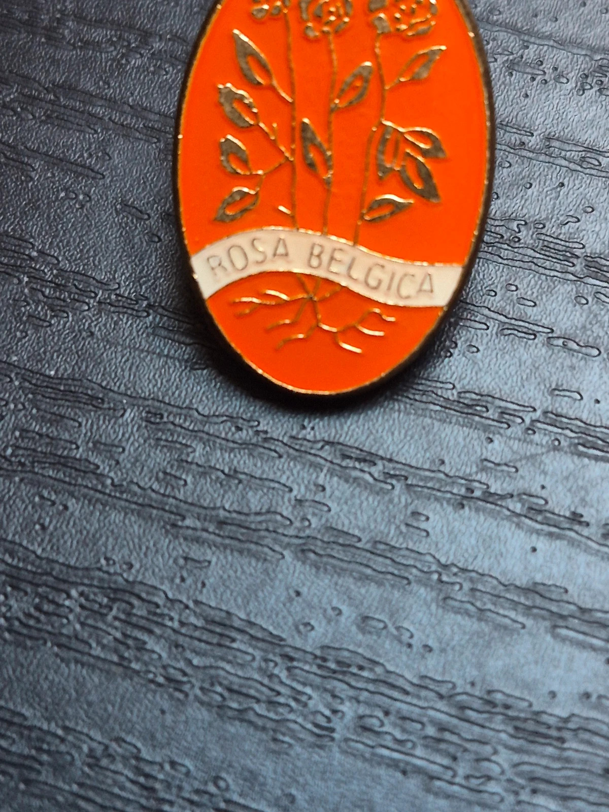 Insigne vintage "Rosa Belgica" - Les Amis de la Rose (Belgique) – Rose 3