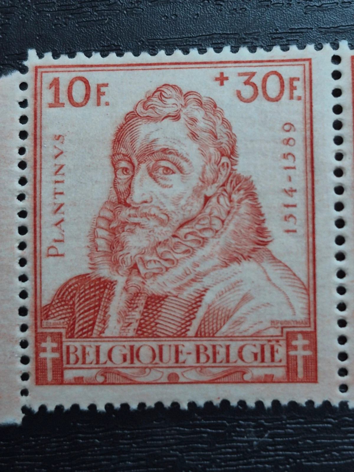 Timbre Belgique Ancien 1942 - Paire Christophe Plantin - État Neuf 2