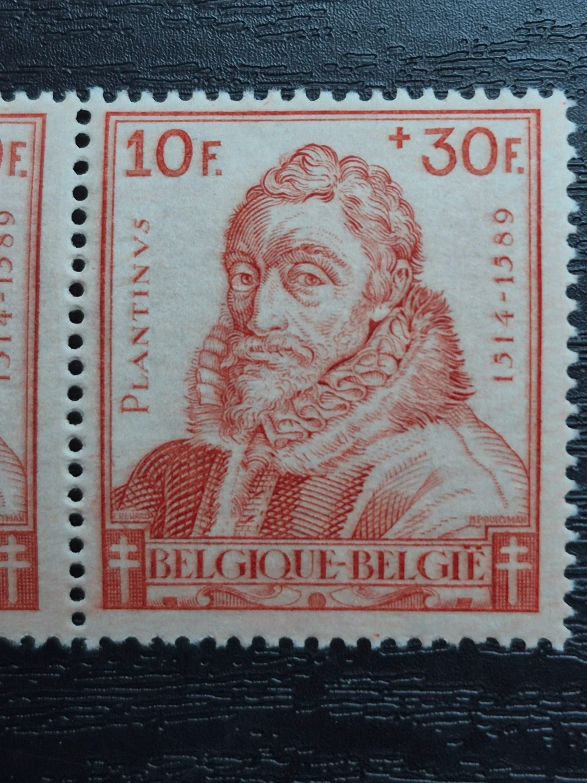 Timbre Belgique Ancien 1942 - Paire Christophe Plantin - État Neuf 3