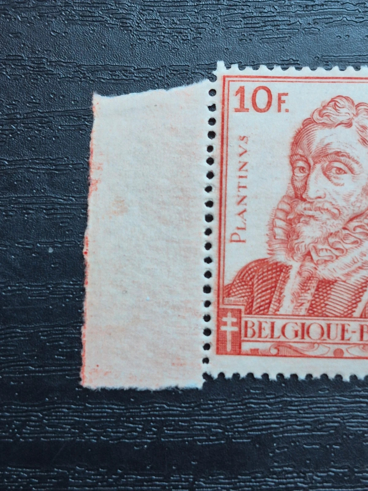 Timbre Belgique Ancien 1942 - Paire Christophe Plantin - État Neuf 4