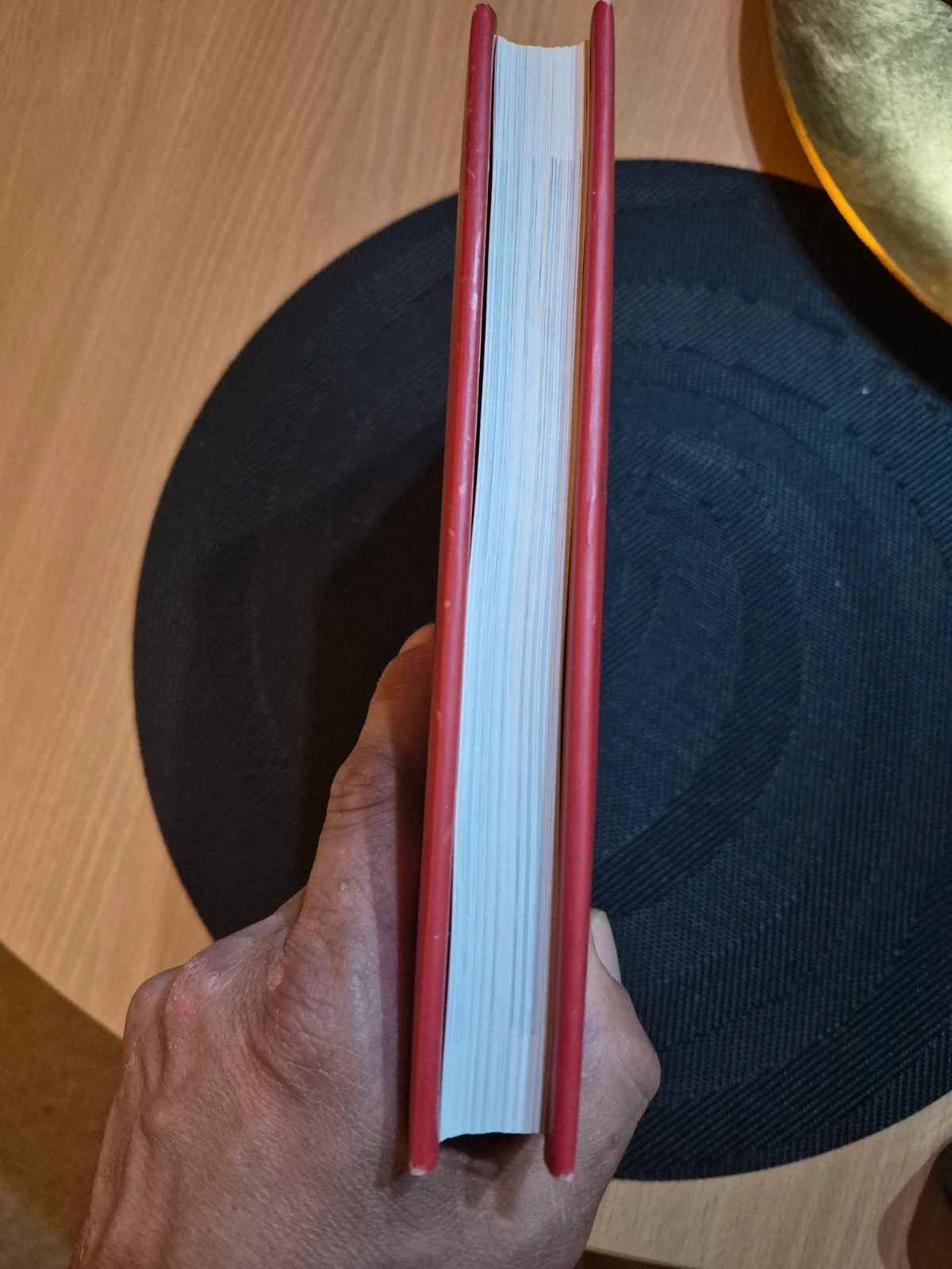 Livre "Bières du monde : Plus de 350 bières réputées" - David Kenning 5
