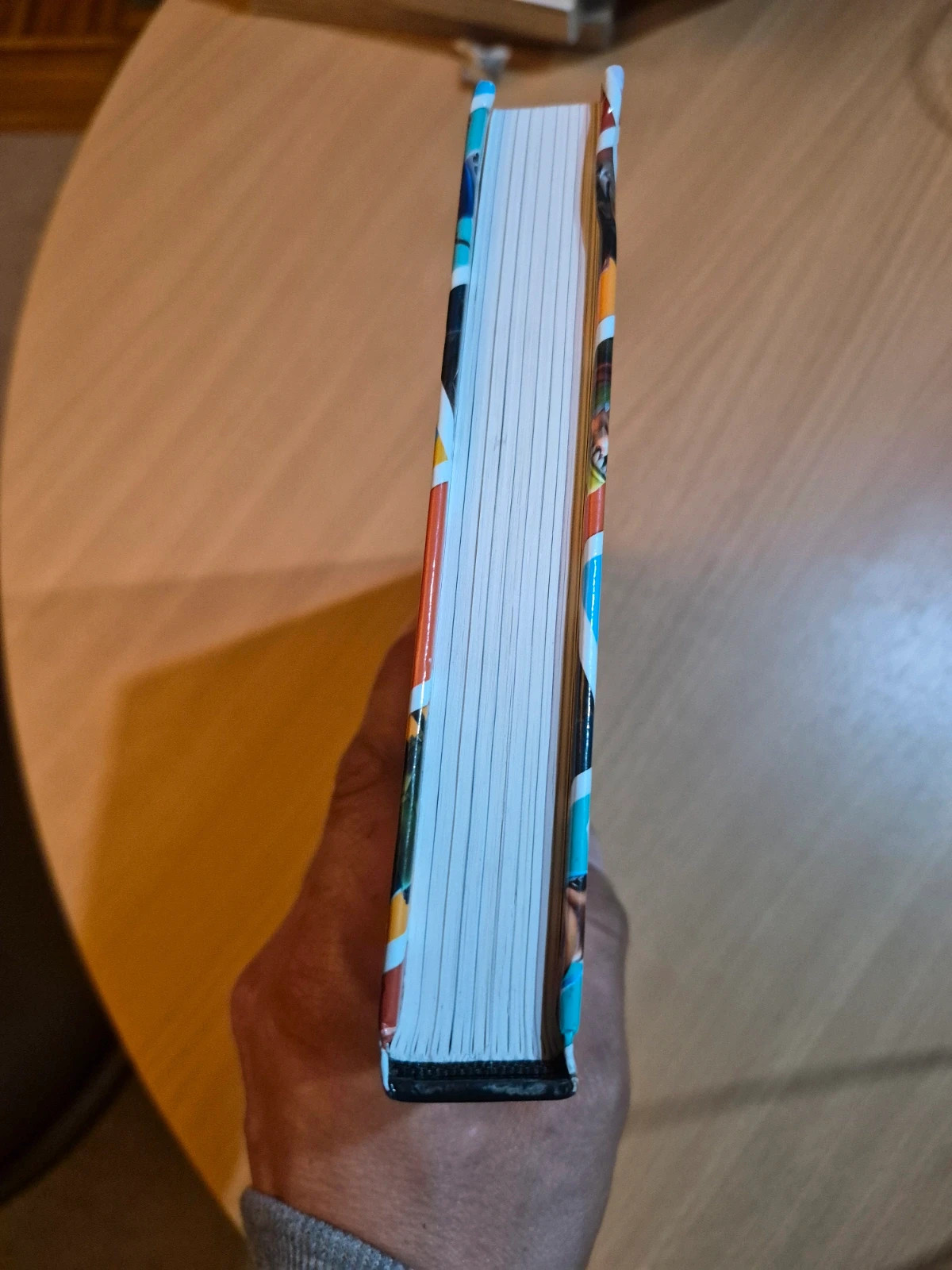 Livre Fortnite - Le Guide Visuel Officiel 4