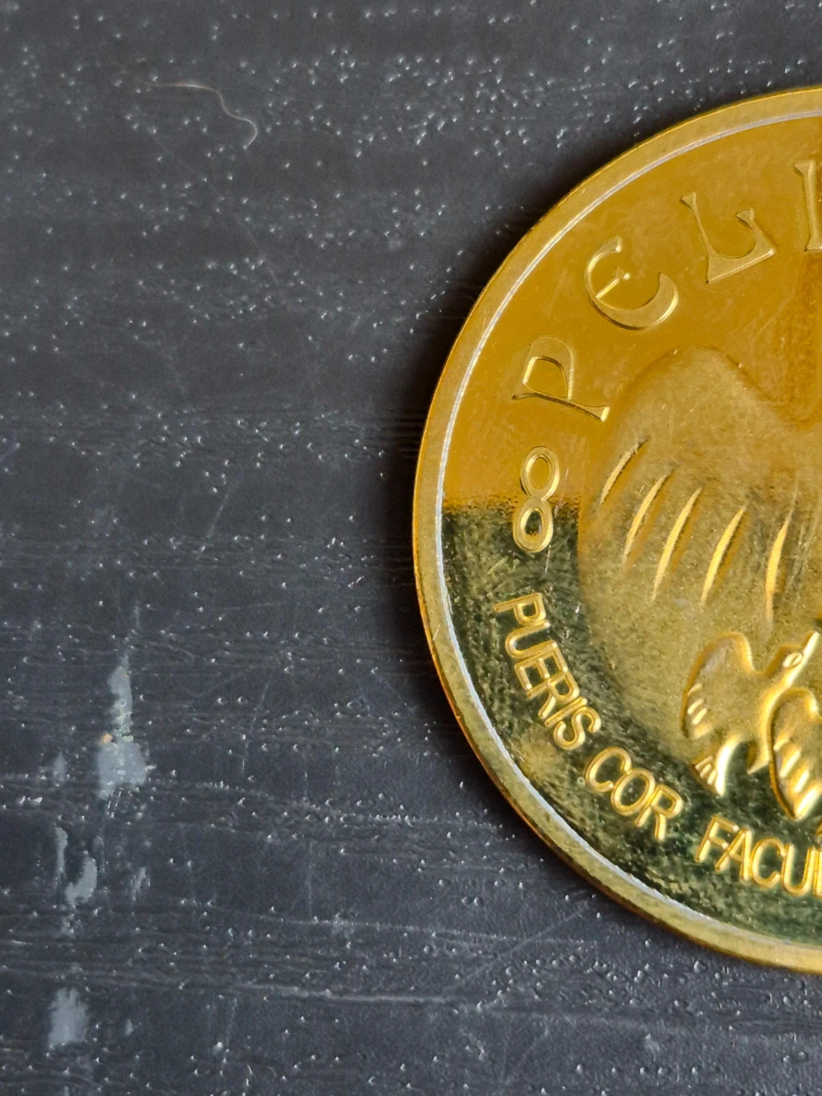 Médaille Rare Fondation Pelicano 2015 - Lutte contre la pauvreté infantile. 3