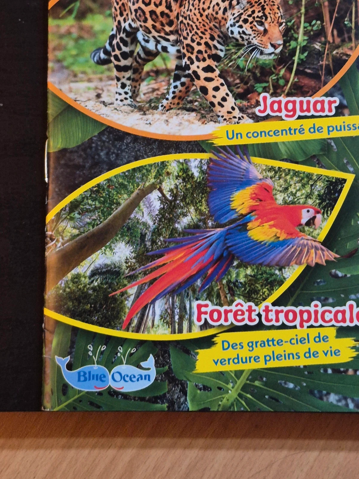 Magazine Planet Wow Toxic Creatures + Poster (Sans Figurine) 5