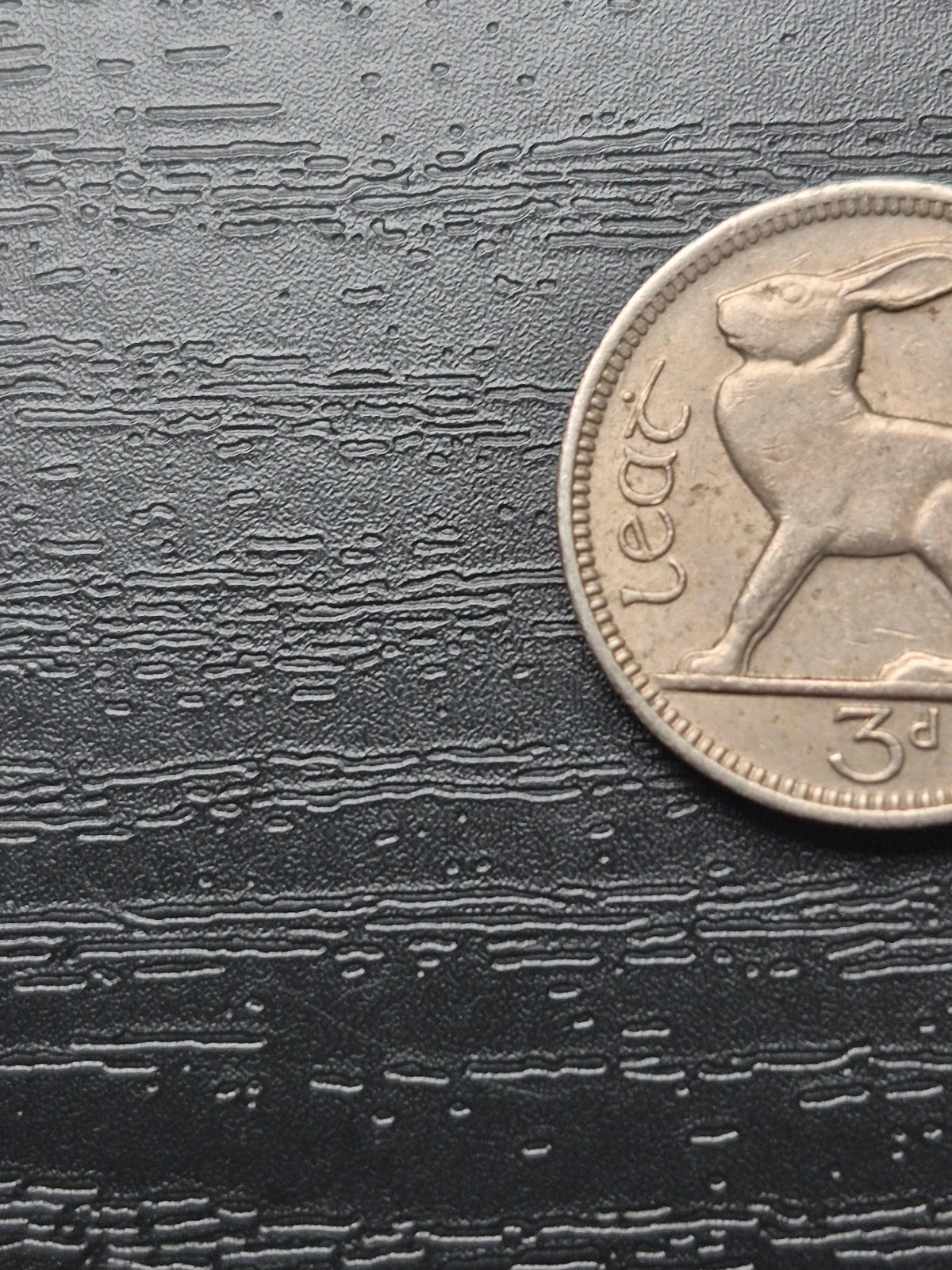 Pièce Irlande 3 Pence 1967 - Lièvre 3
