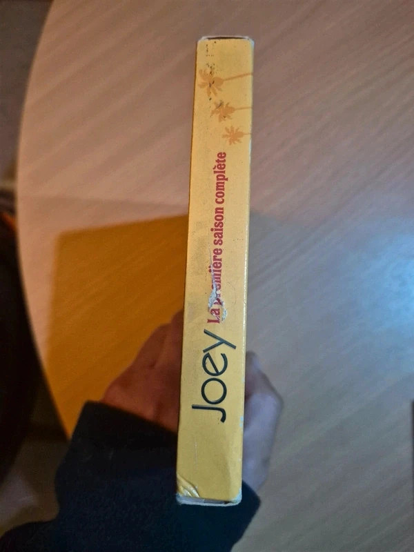 Coffret Dvd Joey saison 1 5