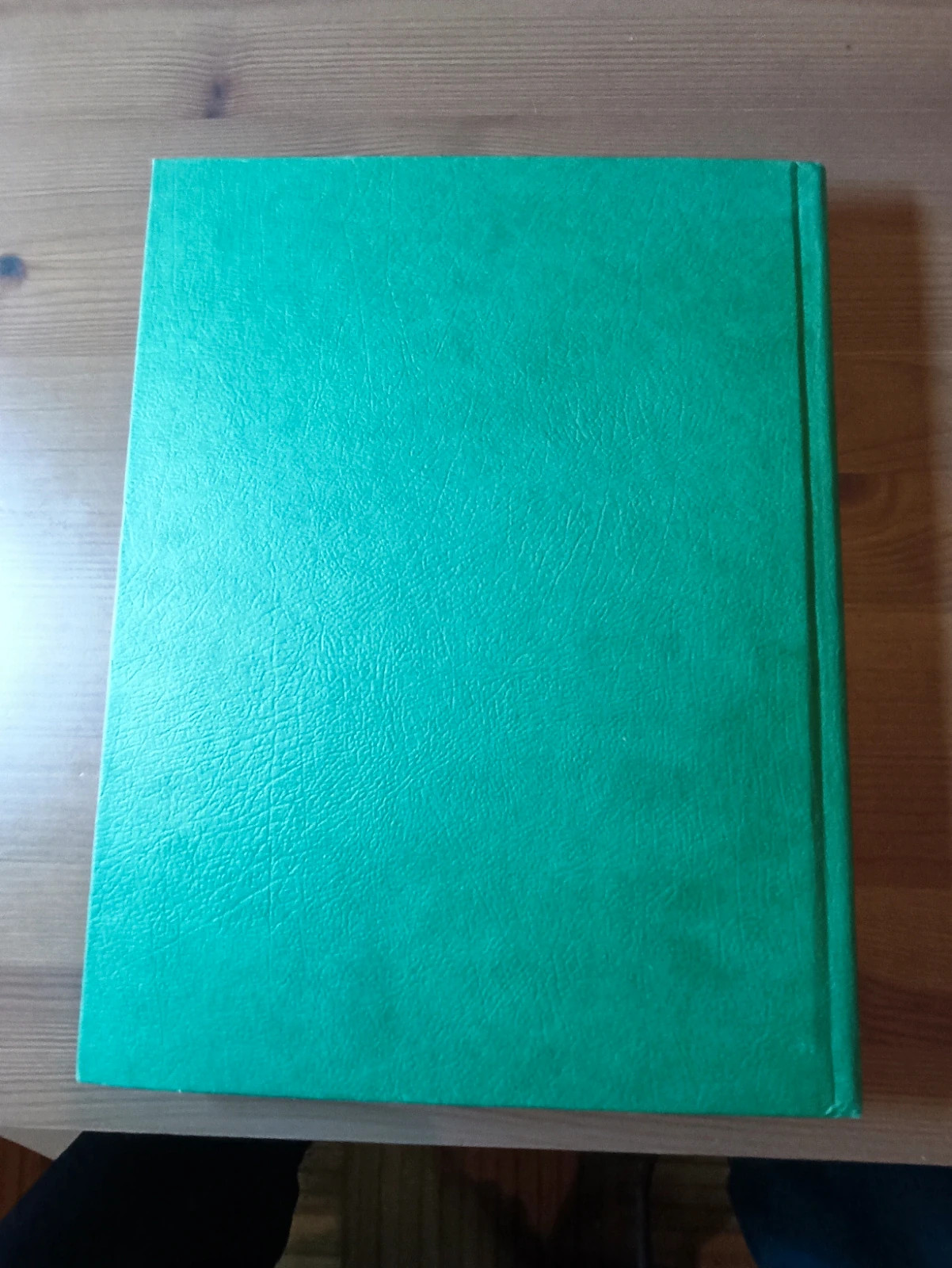 Guide Zelda Spirit tracks avec carte (Anglais) 2