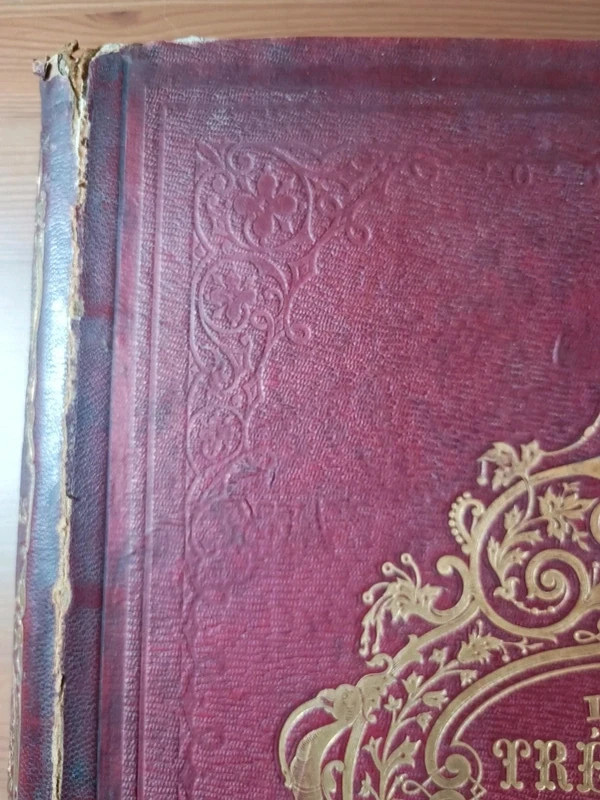 Livre ancien les trésors de l'art (1859) 2