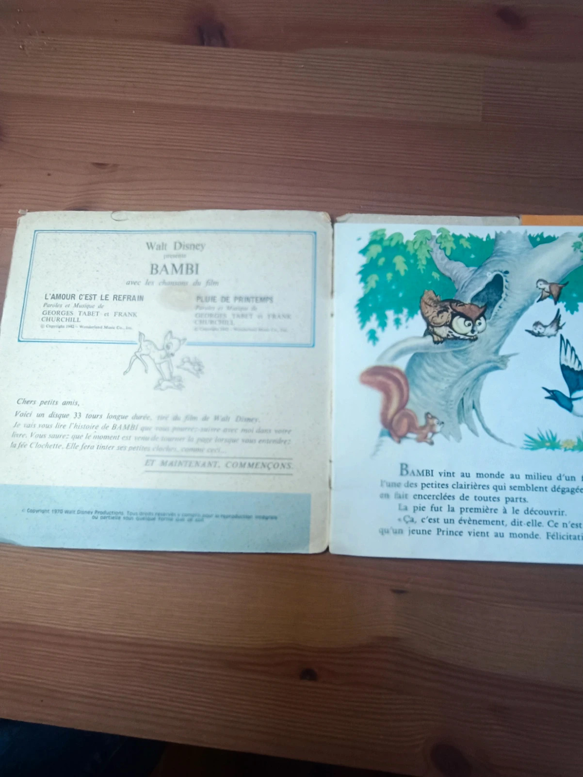 Vinyle-livre Bambi raconté par claude nicot et anna gaylor 3