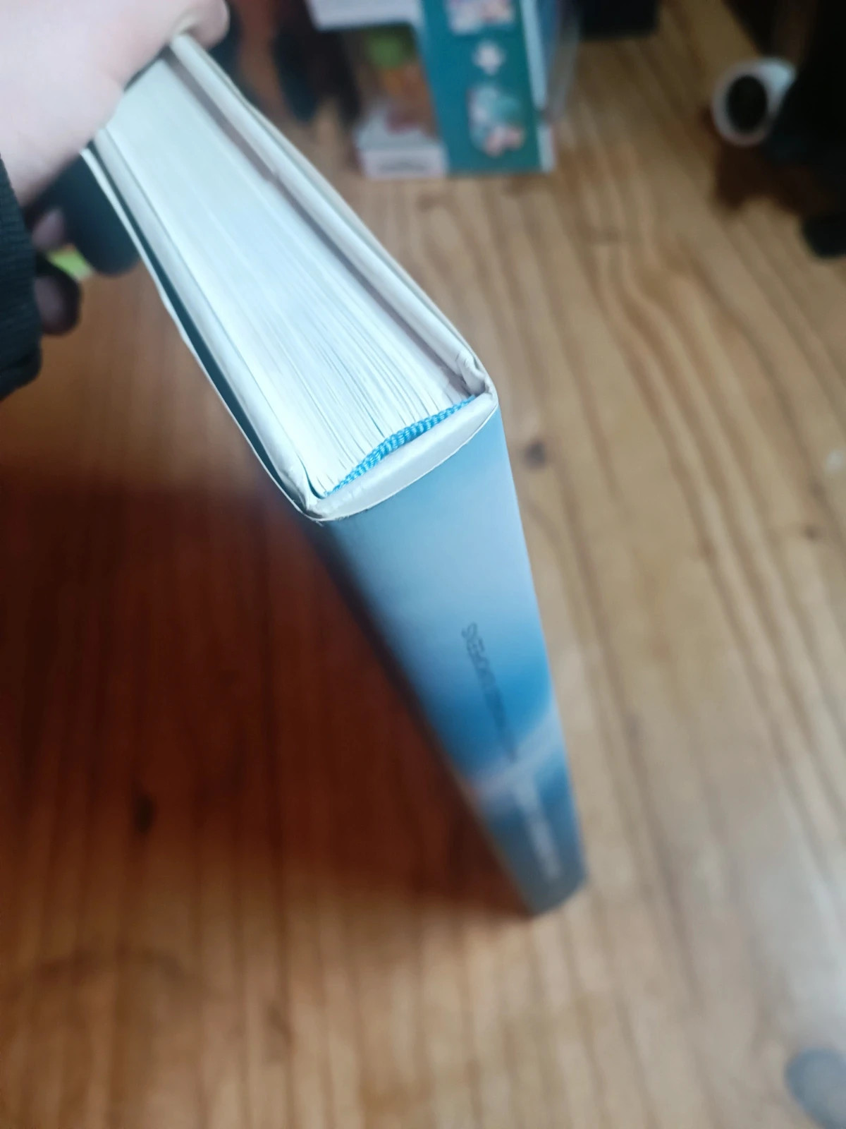 Livre L'artiste contemporain et la nature (fonds mercator) 4