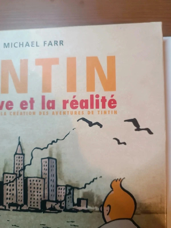 Tintin Le Rêve et la réalité 3