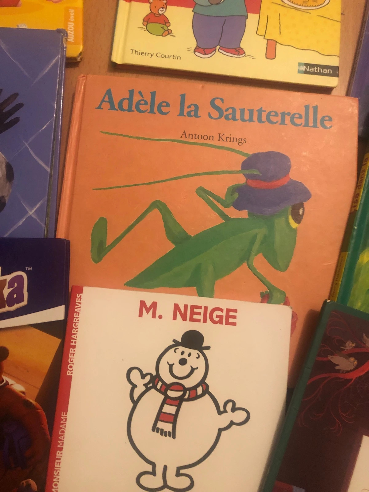 Lot de 8 livres enfants : T'choupi, P'tit Loup 5