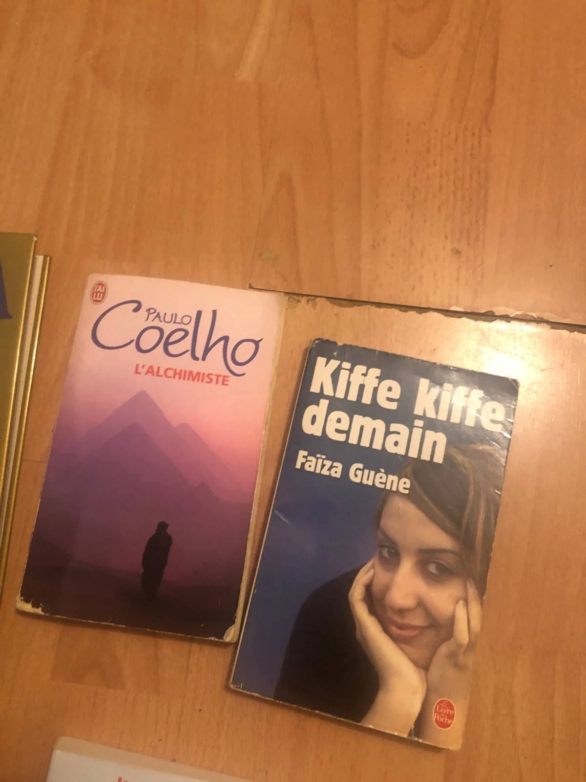 Lot de 6 livres / romans variés : Pokémon, Paulo Coelho, Agatha Raisin 4