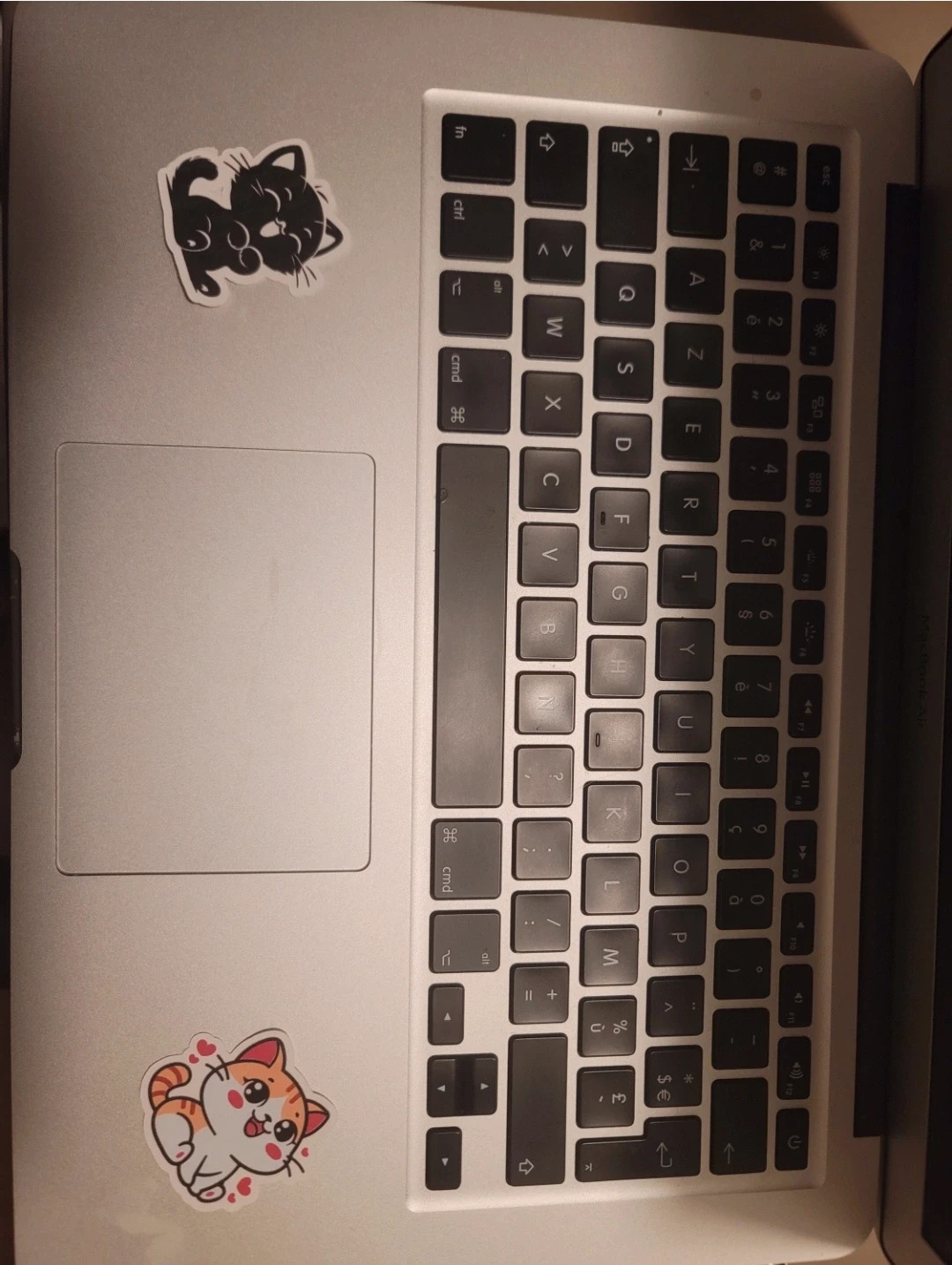 Lot de stickers de chat mignons 4