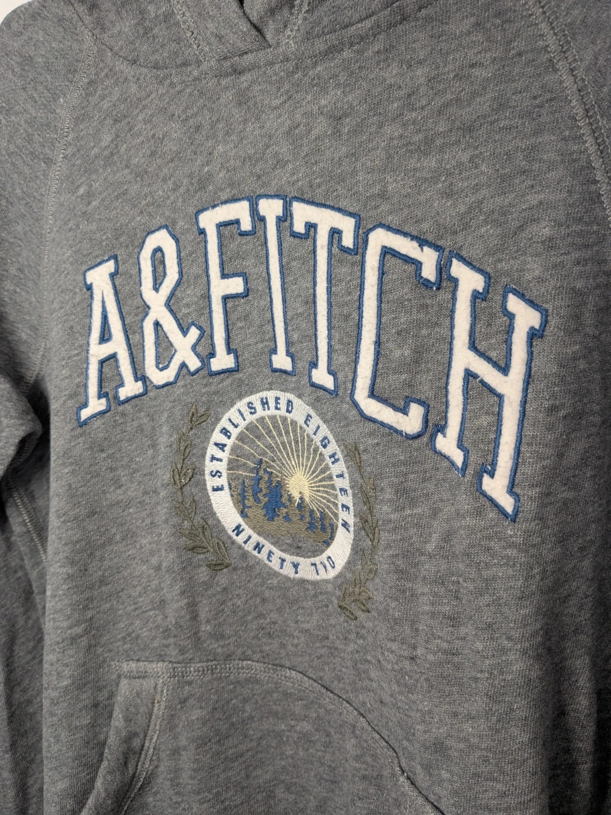 Sweat capuche Homme – Abercrombie & Fitch – taille M / 38 / 10 2