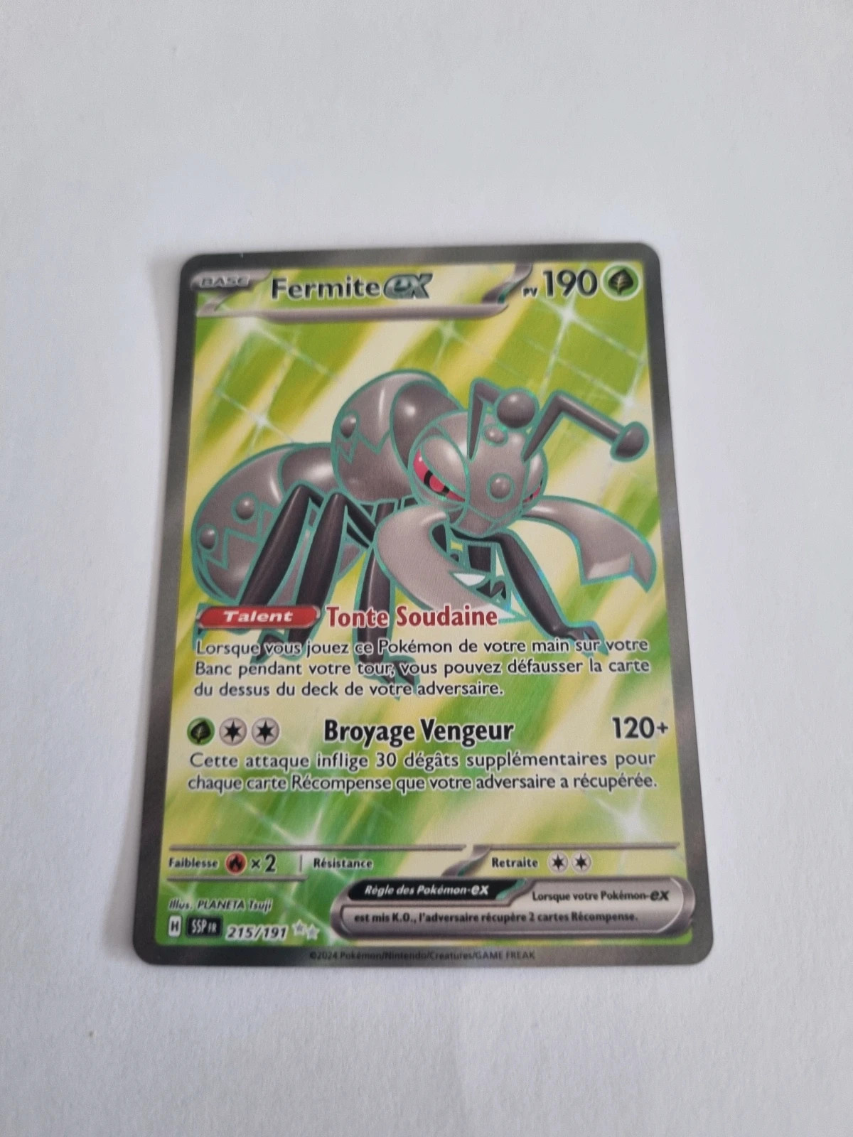 Fermite ex