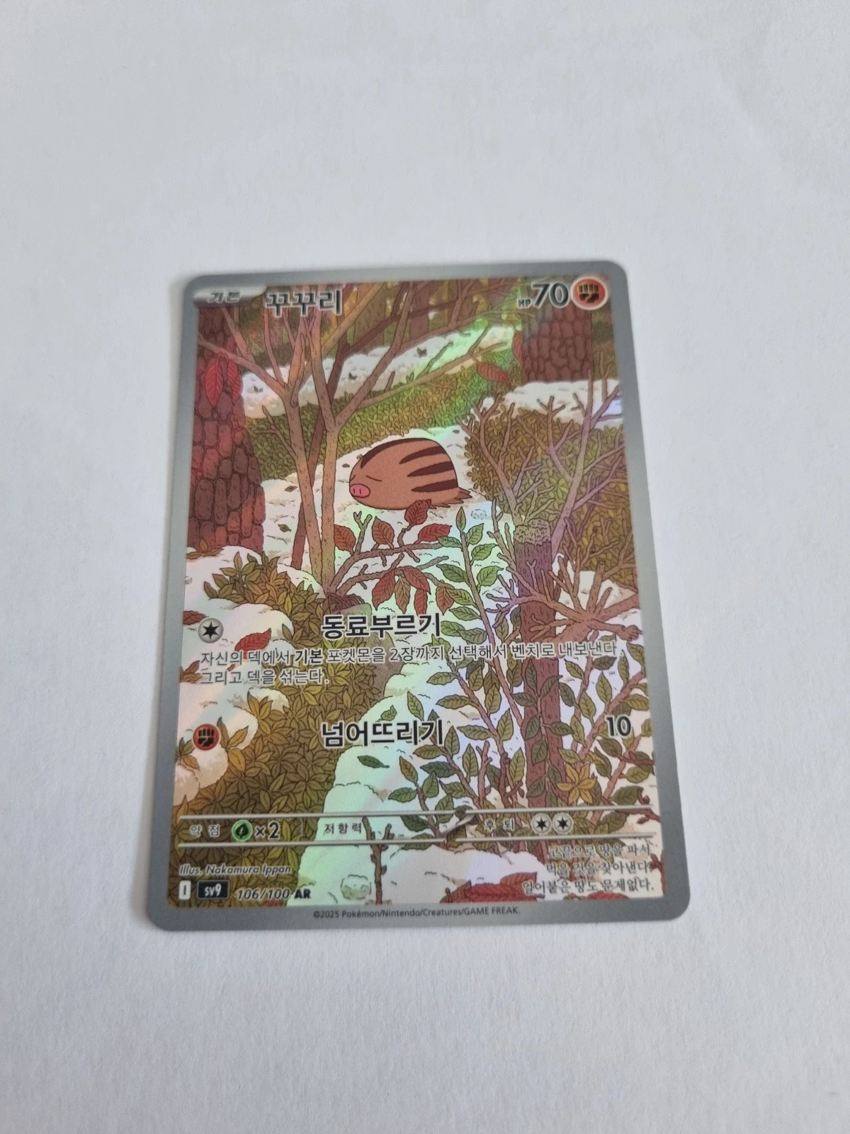 Carte marcacrin coreenne