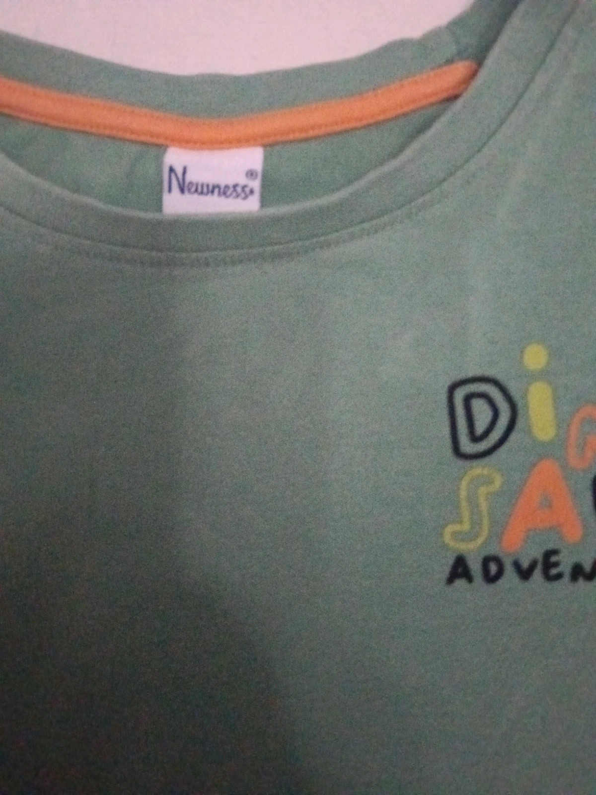 Blusa manga corta dinosaurio niño – newness – taille 5 ans / 110 cm 5