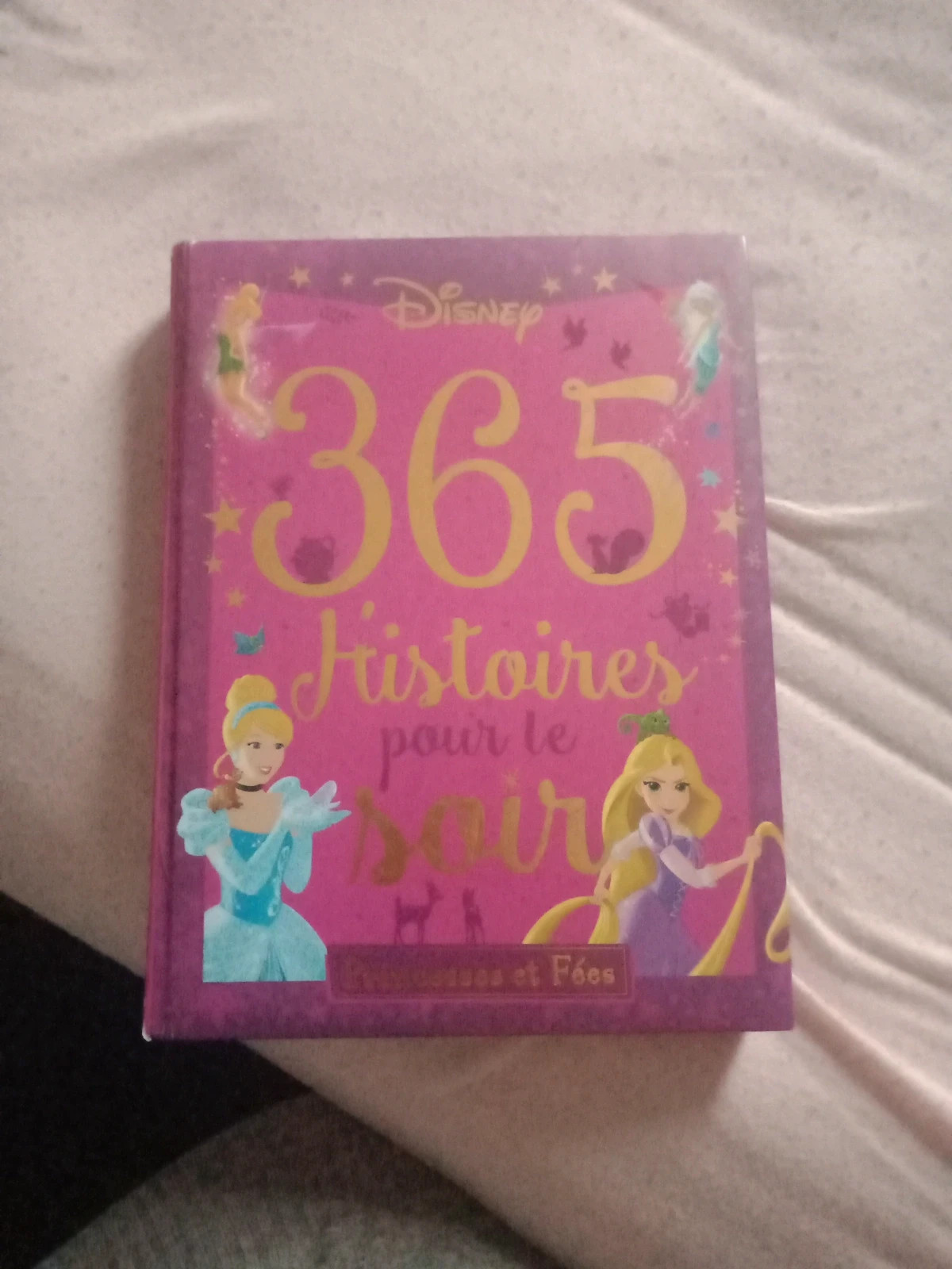 365 histoire pour le soir de princesse Disney