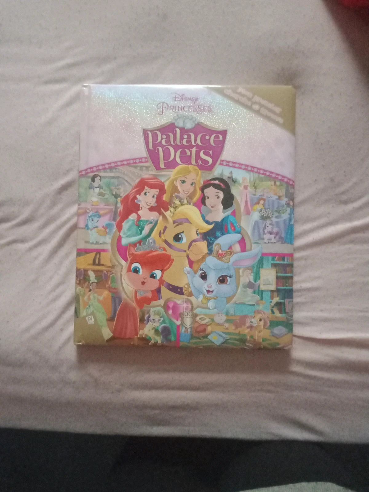 Livre princesse