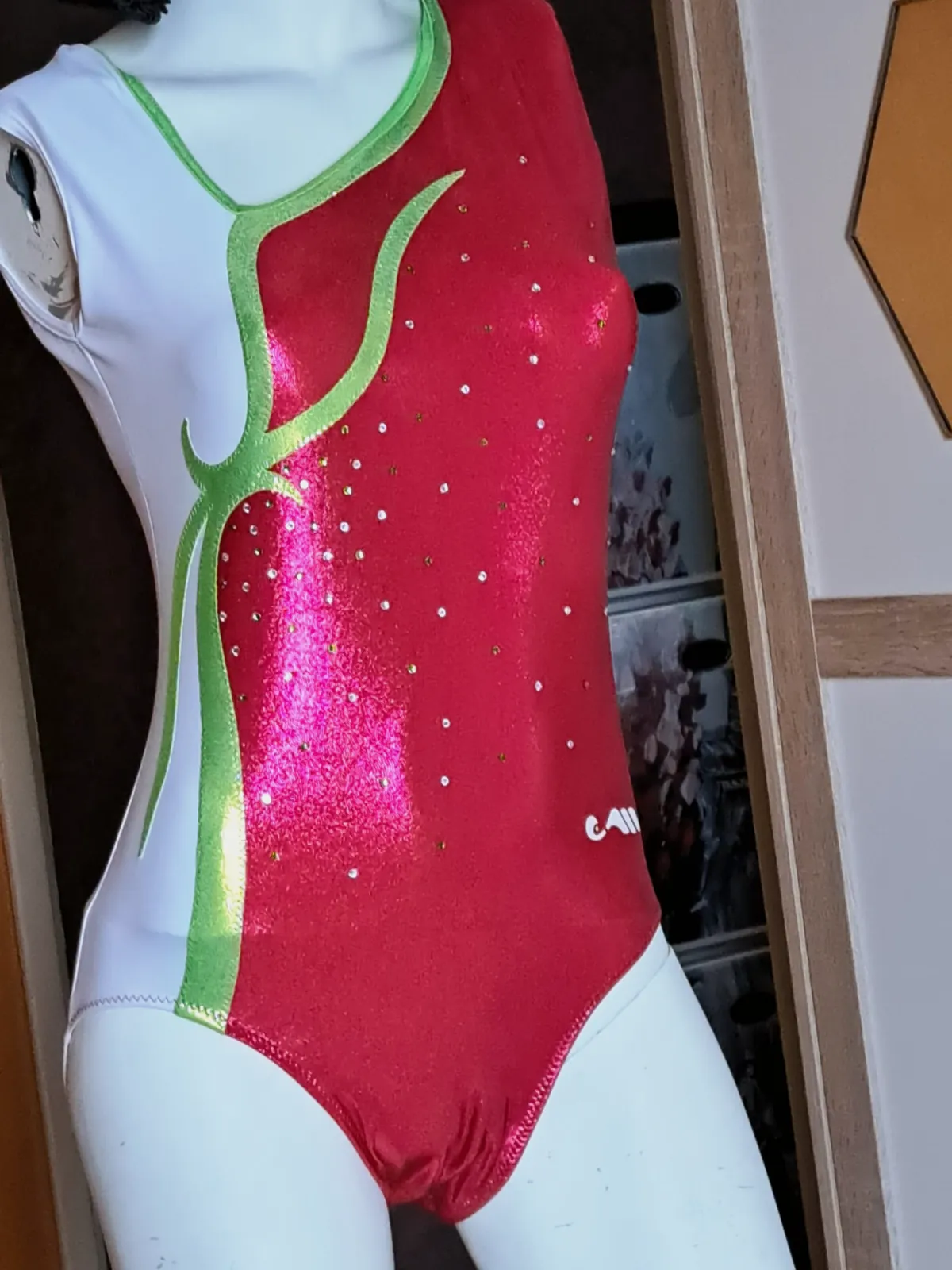 Justaucorps de gymnastique