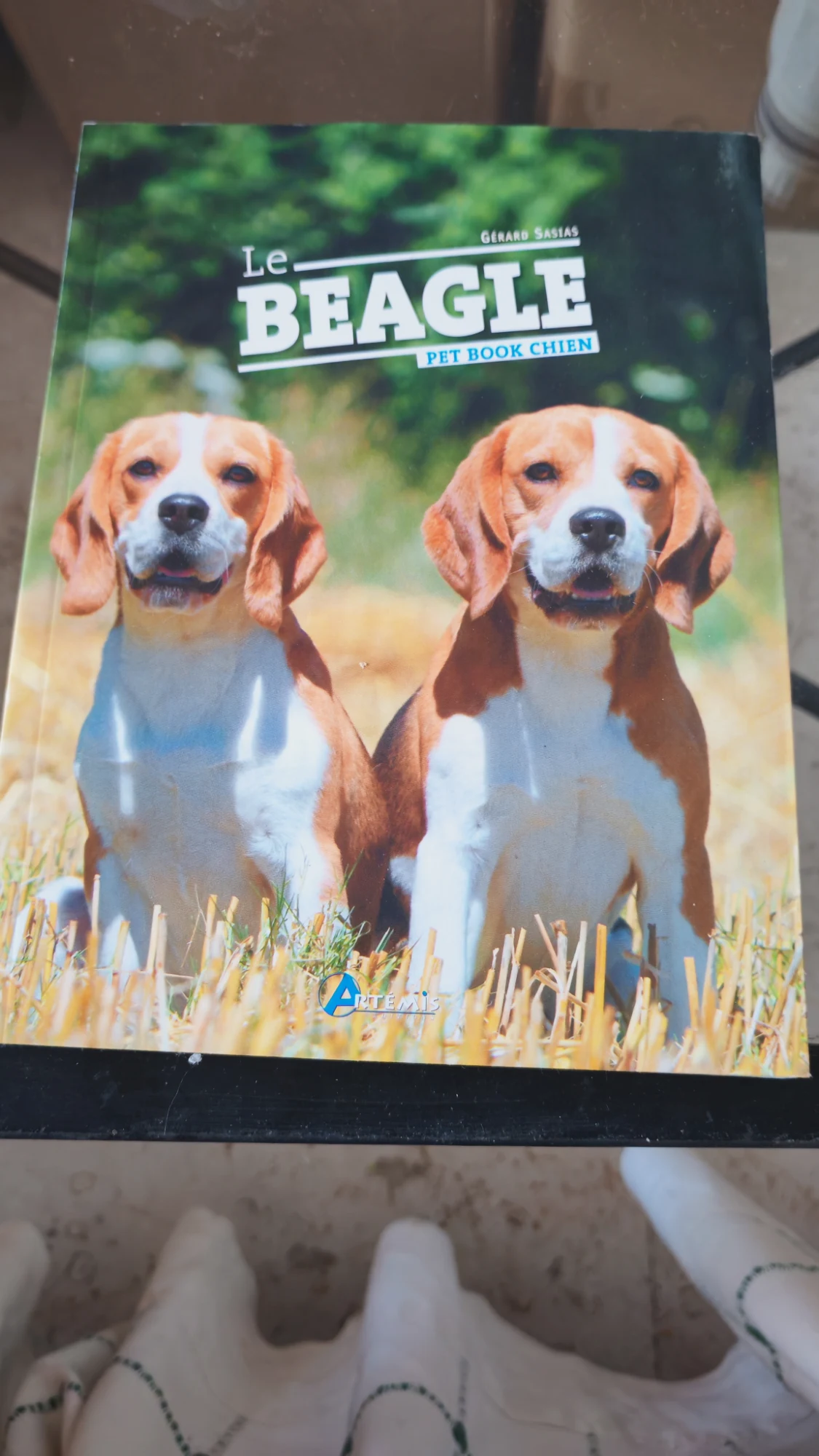 Libro Le Beagle Pet Book Chien Éditions Artémis