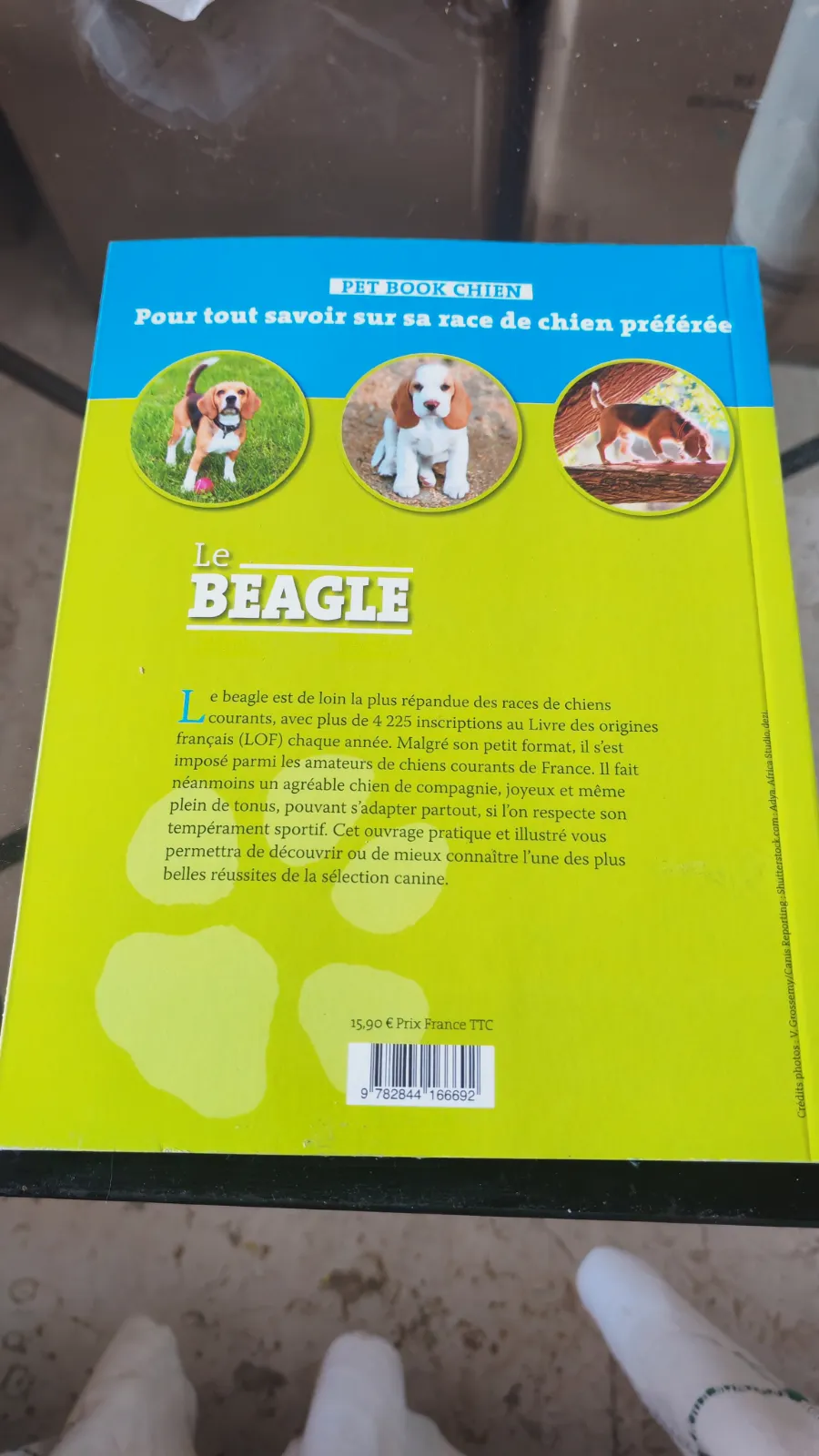Libro Le Beagle Pet Book Chien Éditions Artémis – Éditions Artémis 2