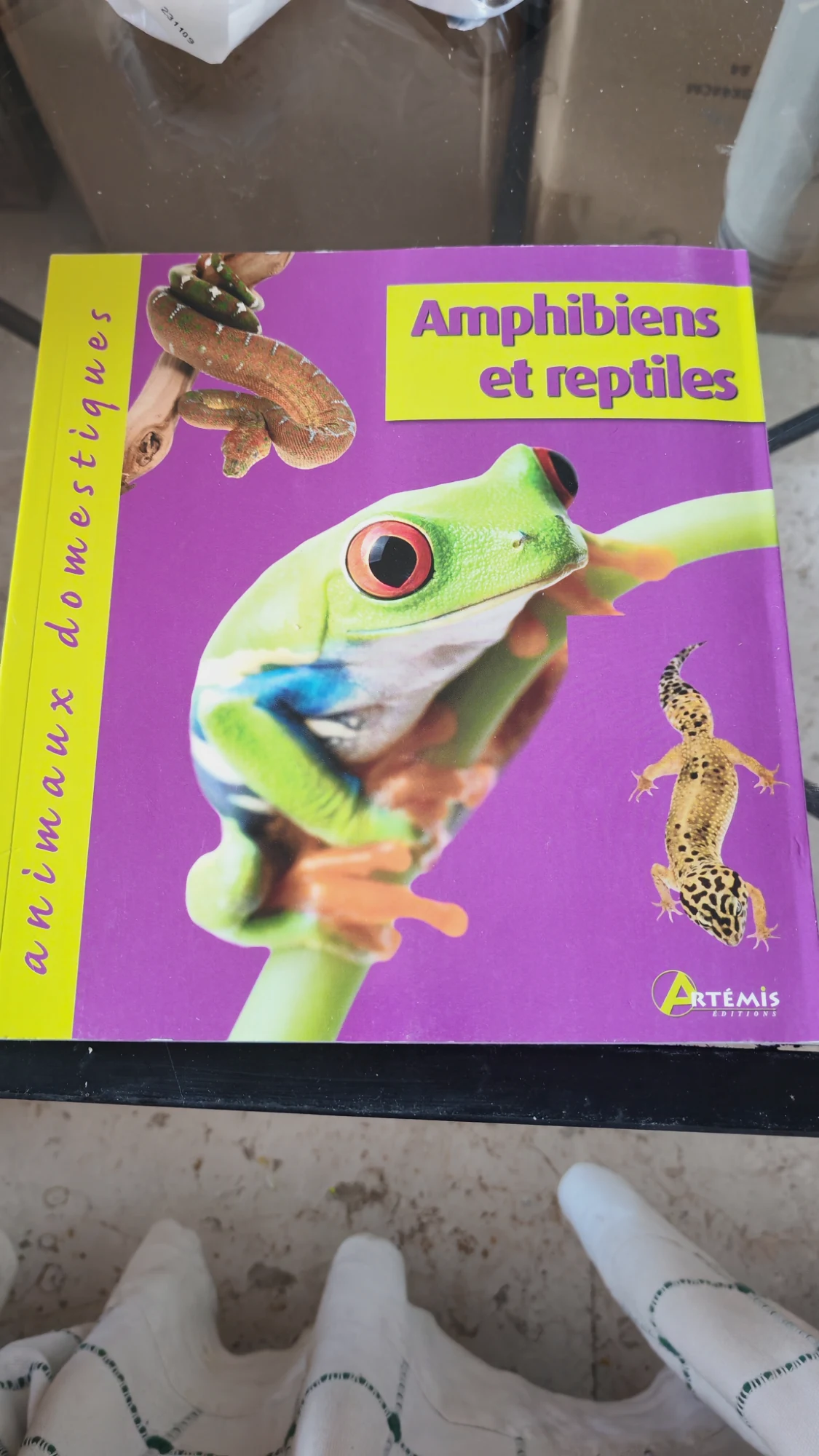 Guía sobre anfibios en francés – Artémis Éditions
