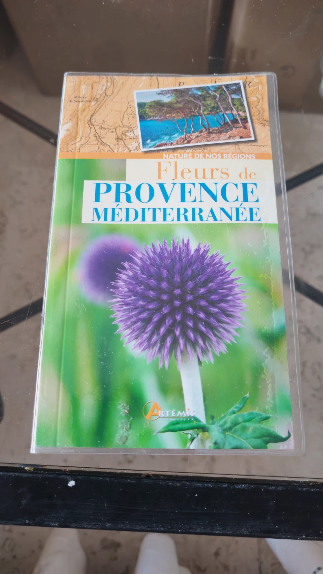 Libro Fleurs de Provence Méditerranée Éditions Artémis – Éditions Artémis