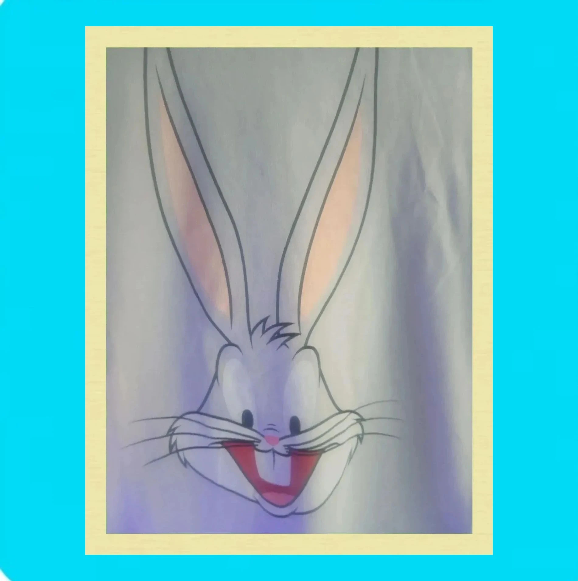 💙Camiseta Warner Bros de Bugs Bunny 💙 – H&M – taille 7 ans / 122 cm 2