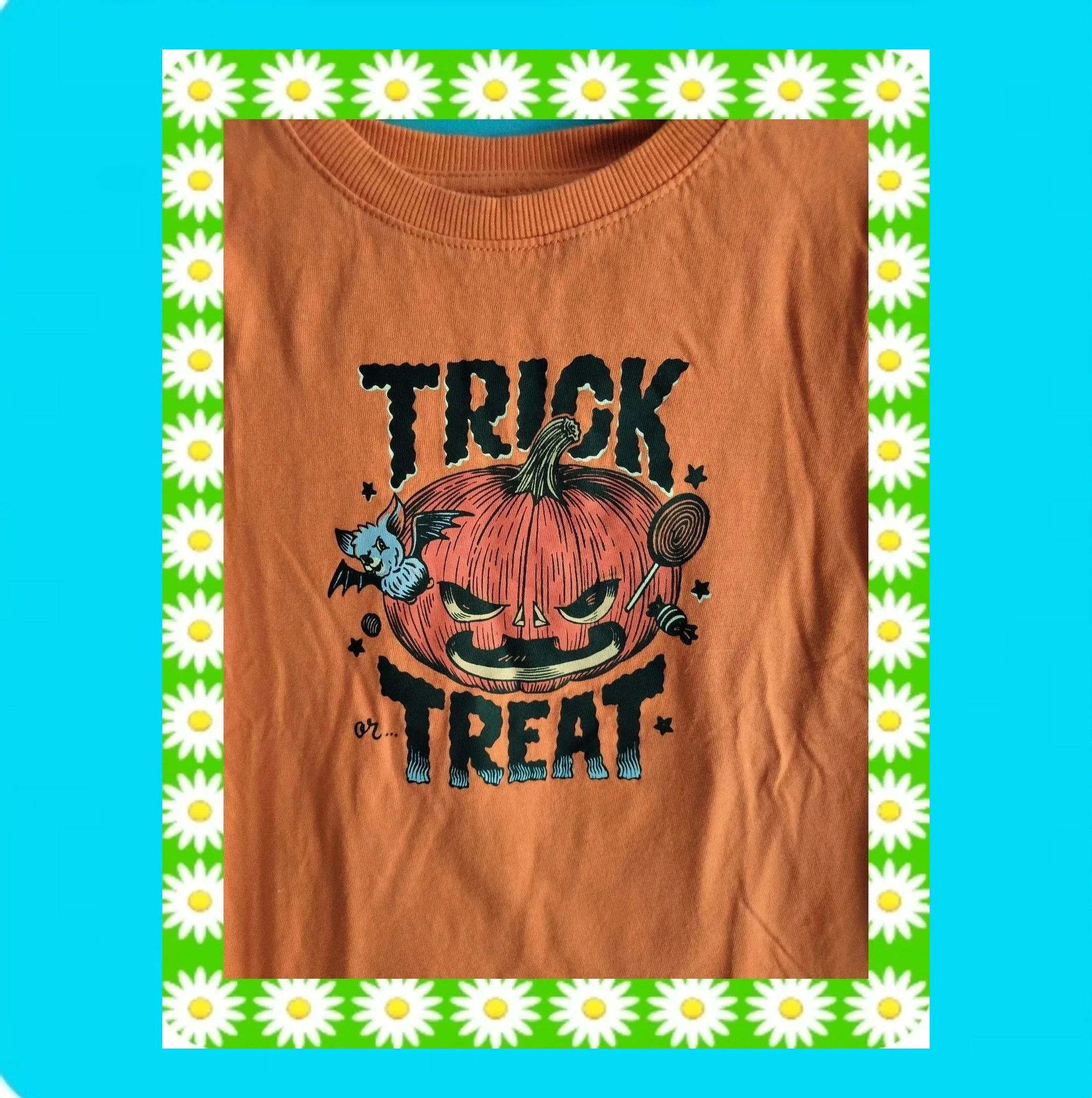 🩵Camiseta Niño Calabaza 🩵 – Kiabi – taille 5 ans / 110 cm 3