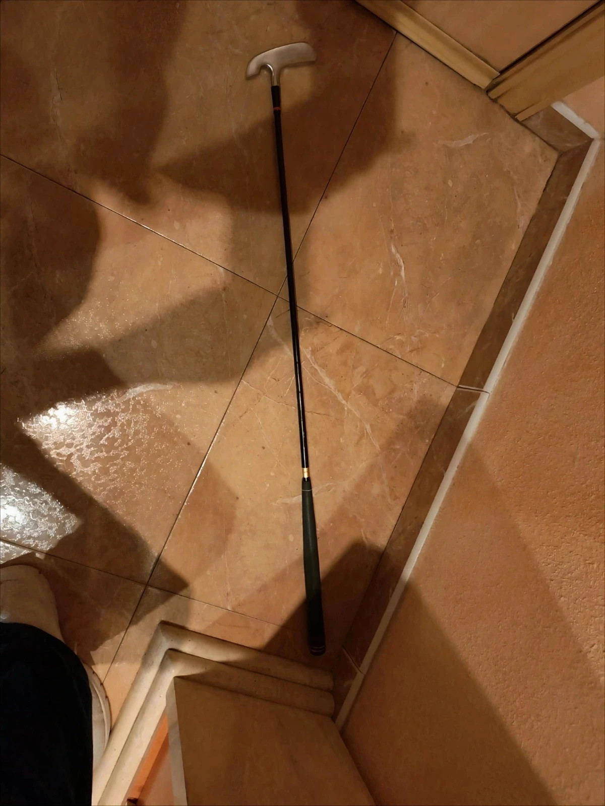 Palo de golf 2