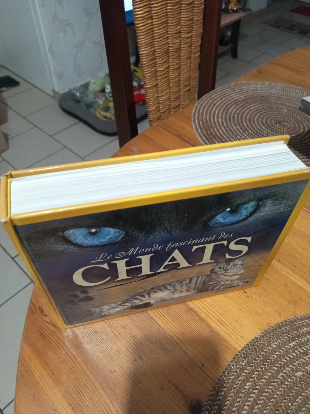 Livre "Le Monde fascinant des Chats" - Édit. Nov'édit 2