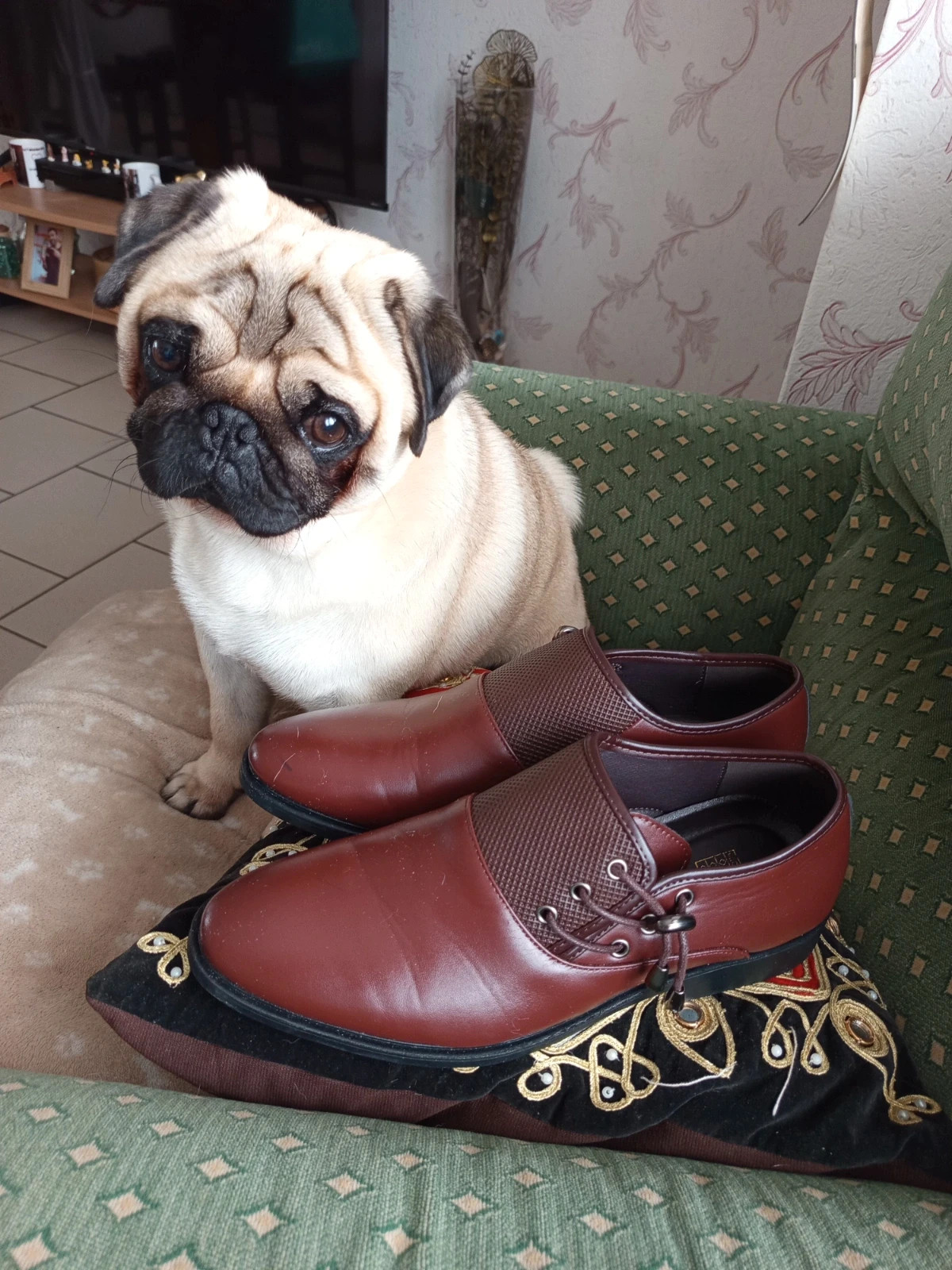 Mocassins habillés marron homme – Taille 42 – Presque neufs – taille 42 5
