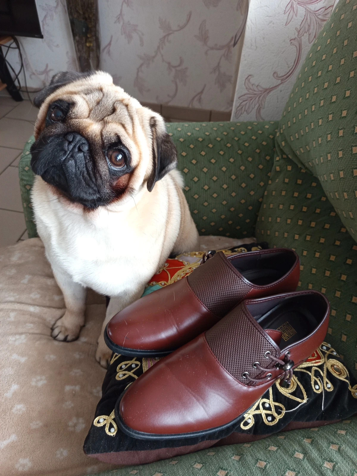 Mocassins habillés marron homme – Taille 42 – Presque neufs – taille 42