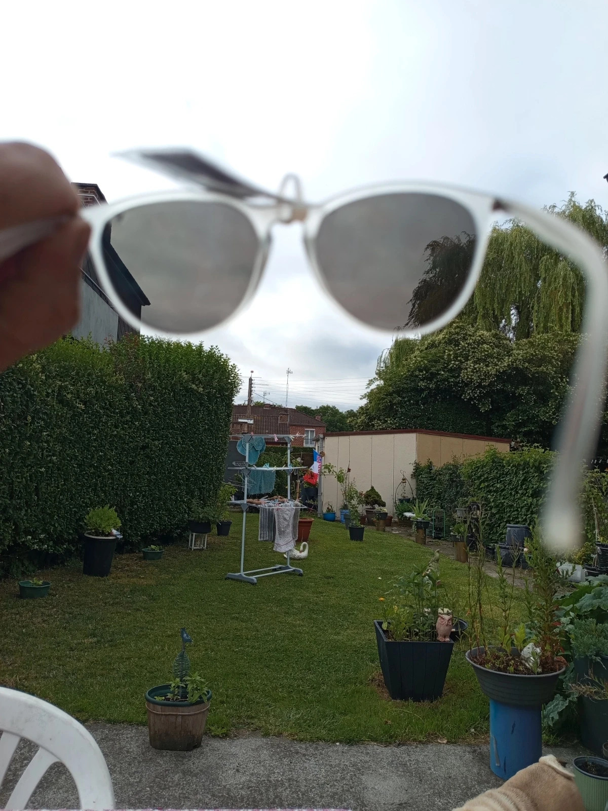 Lunette femme – LTBD 4