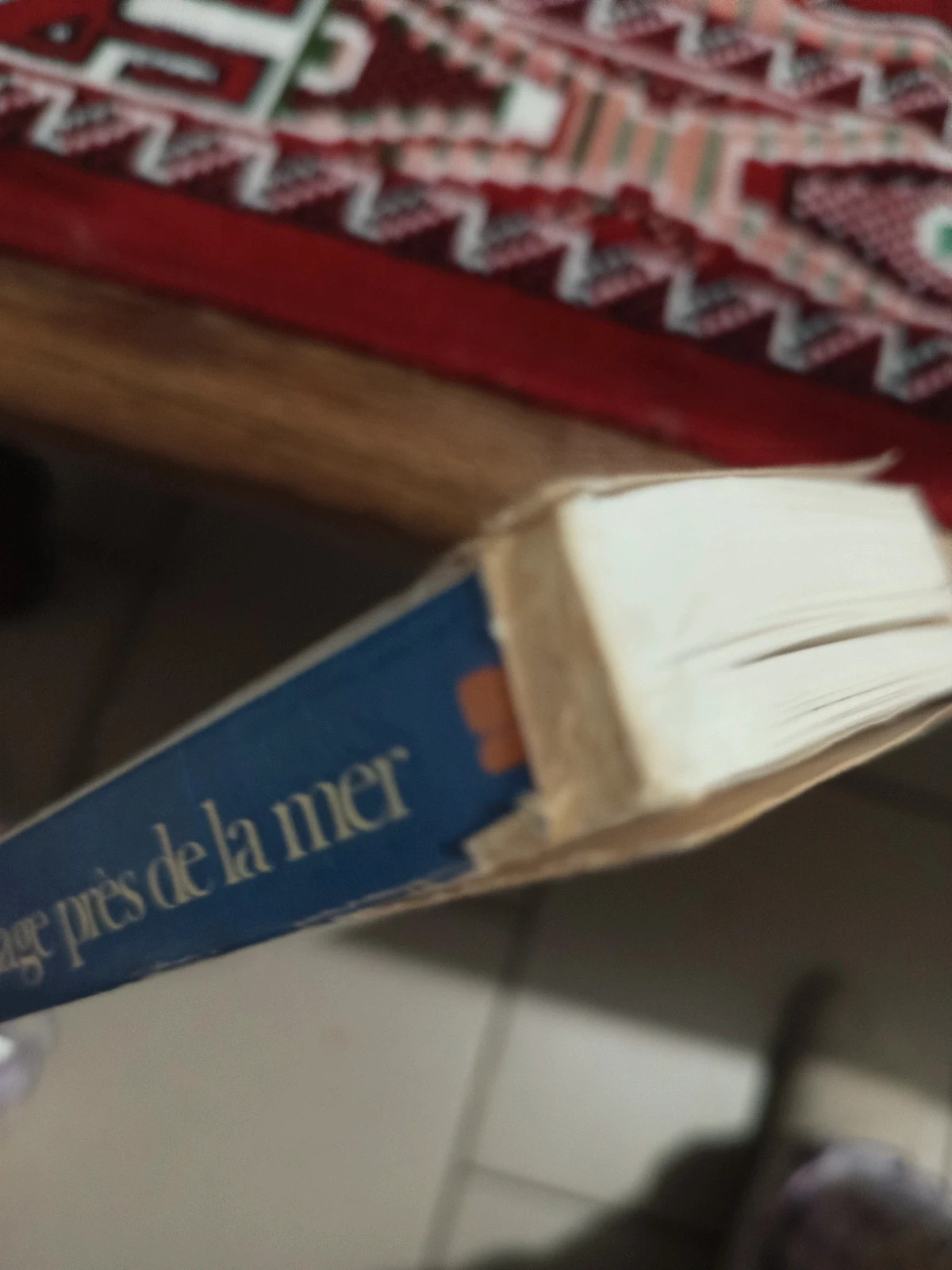 Livre de poche un village près de la mer 5