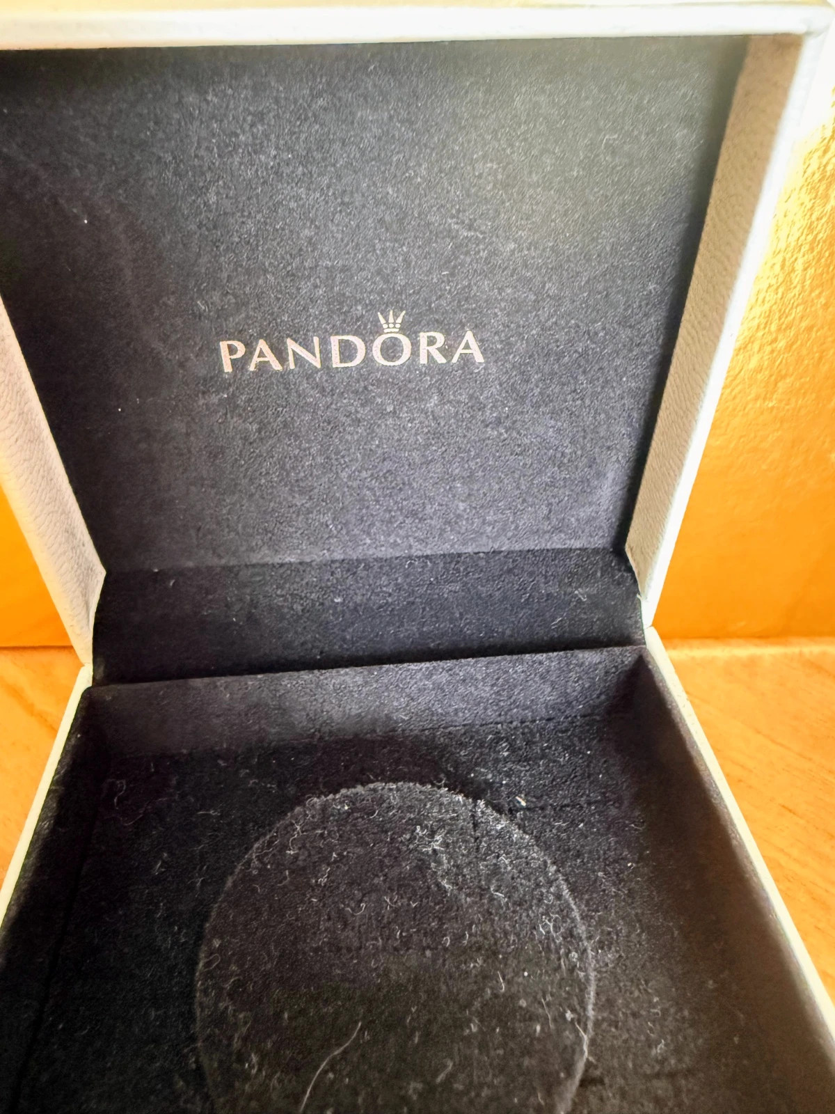 Caja Pandora de Piel – Nueva – Pandora 4