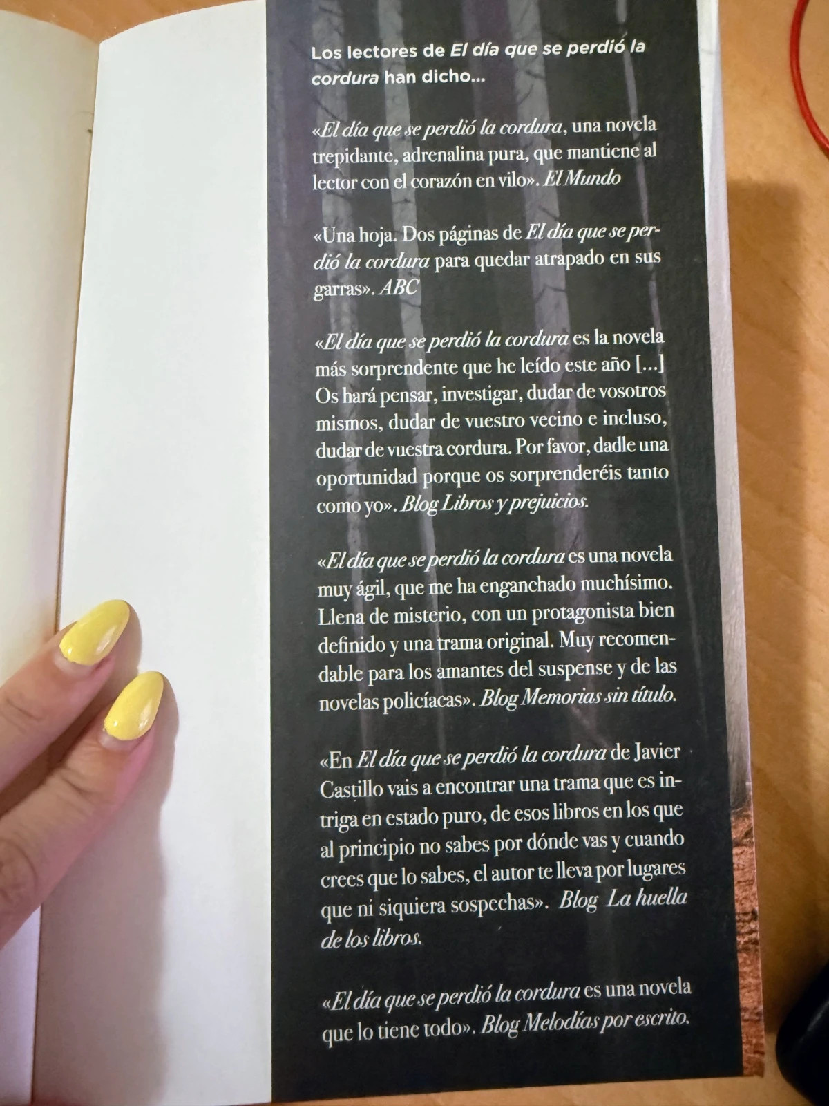 🔎Javier Castillo El día que se perdió el amor – Como nuevo 5