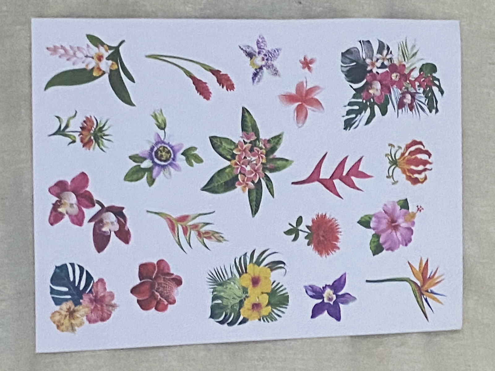 Adesivi – Stickers 3