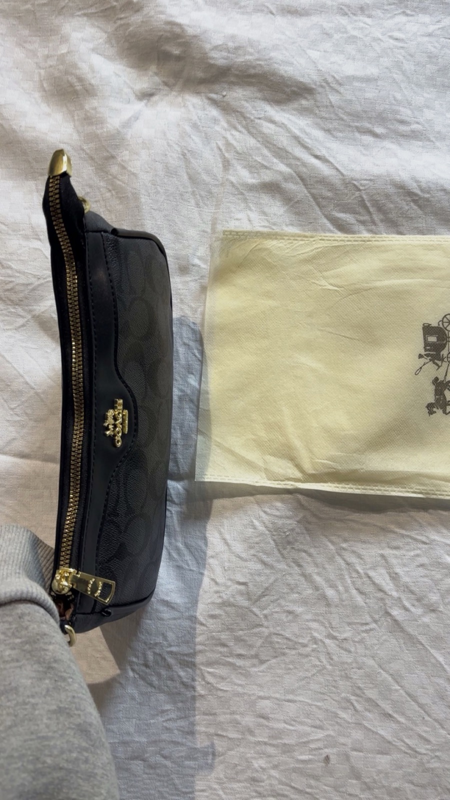 Sac Coach – coach 6