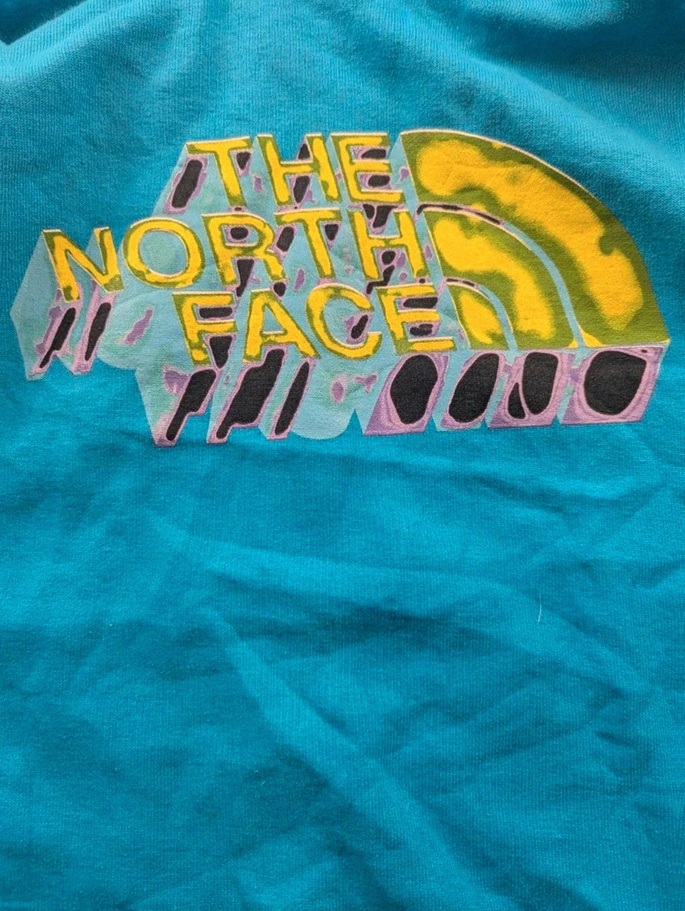 Sweat à capuche The North Face graphique bleu turquoise coordonnées outdoor M – The North Face – taille M 4